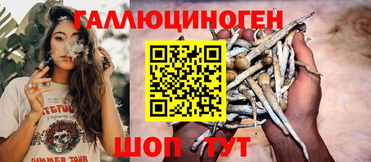Псилоцибиновые грибы Magic Shrooms Батайск