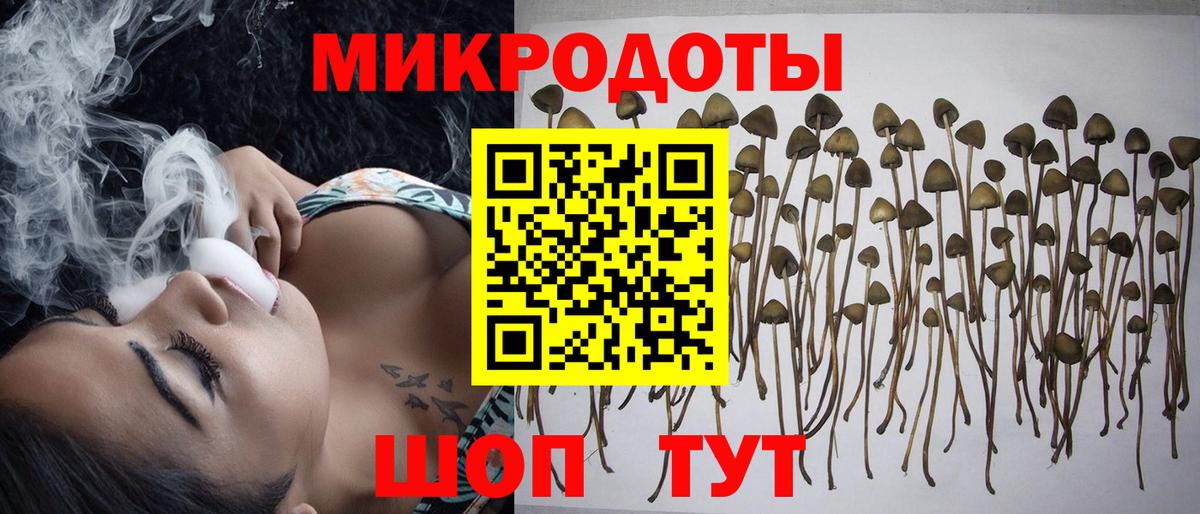 Галлюциногенные грибы Psilocybe  магазин продажи   Батайск  Вход с VPN  Псилоцибиновые грибы Psilocybe 